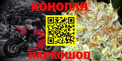 PSILOCYBIN Пугачёв