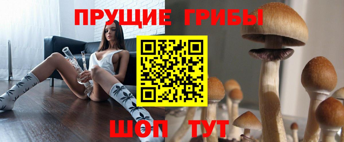 Псилоцибиновые грибы Psilocybe  Псилоцибиновые грибы ЛСД  Тихвин  наркота  Вход с VPN 